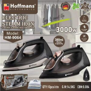 Electric iron